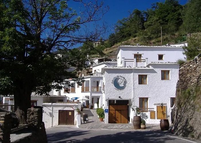Estrella De Las Nieves