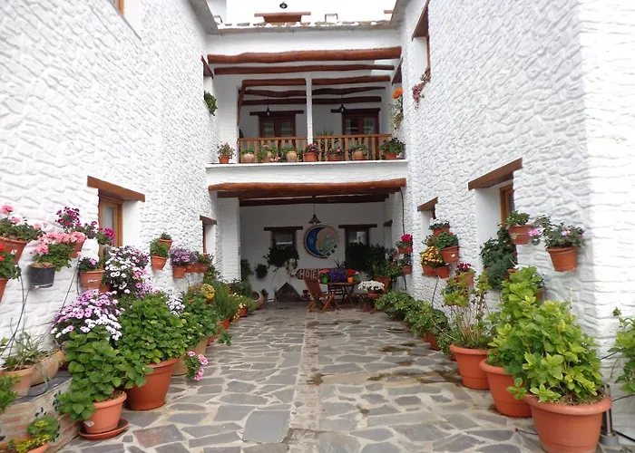 Estrella De Las Nieves